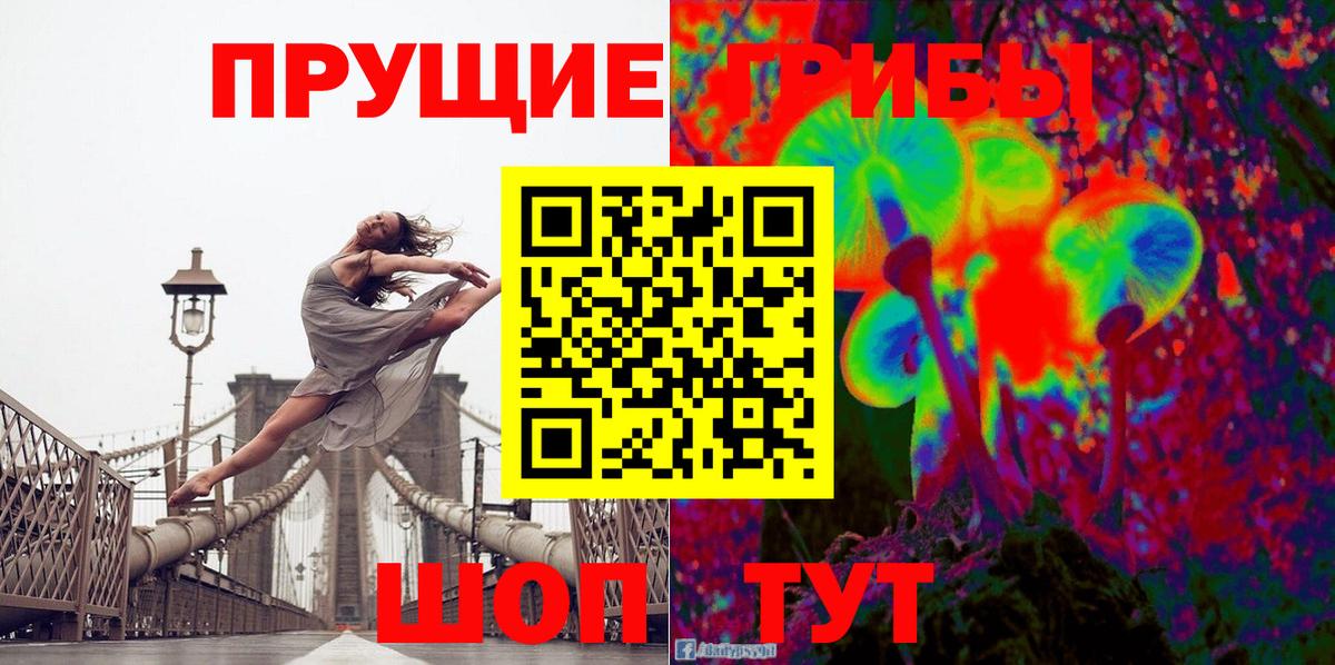 Чернушка  Галлюциногенные грибы Cubensis  Вход с VPN 