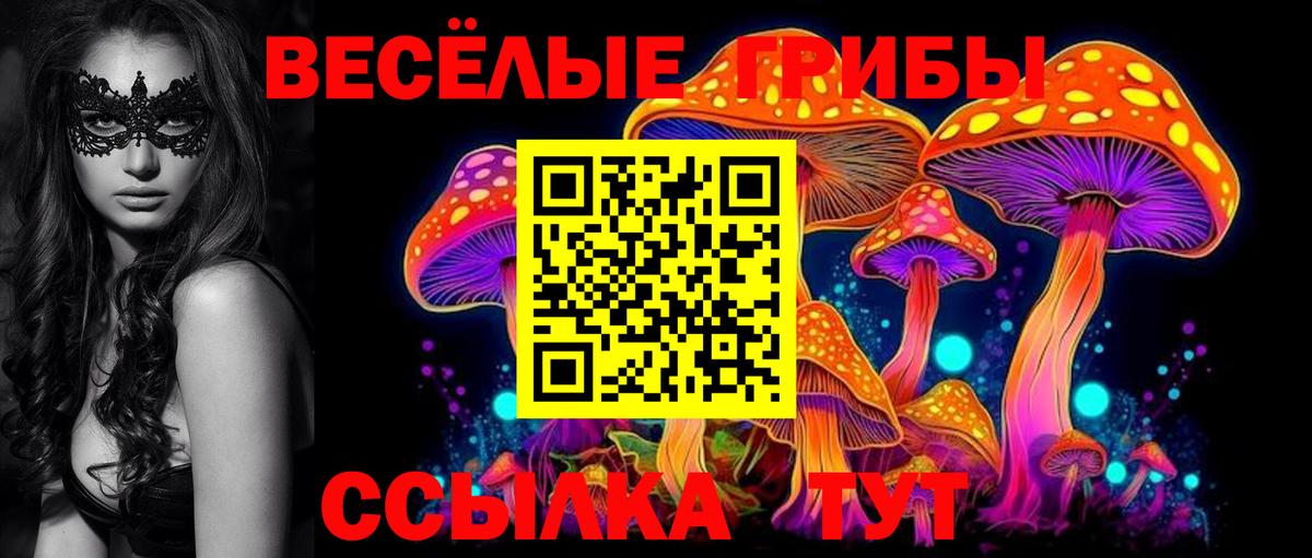 Псилоцибиновые грибы Cubensis Чернушка